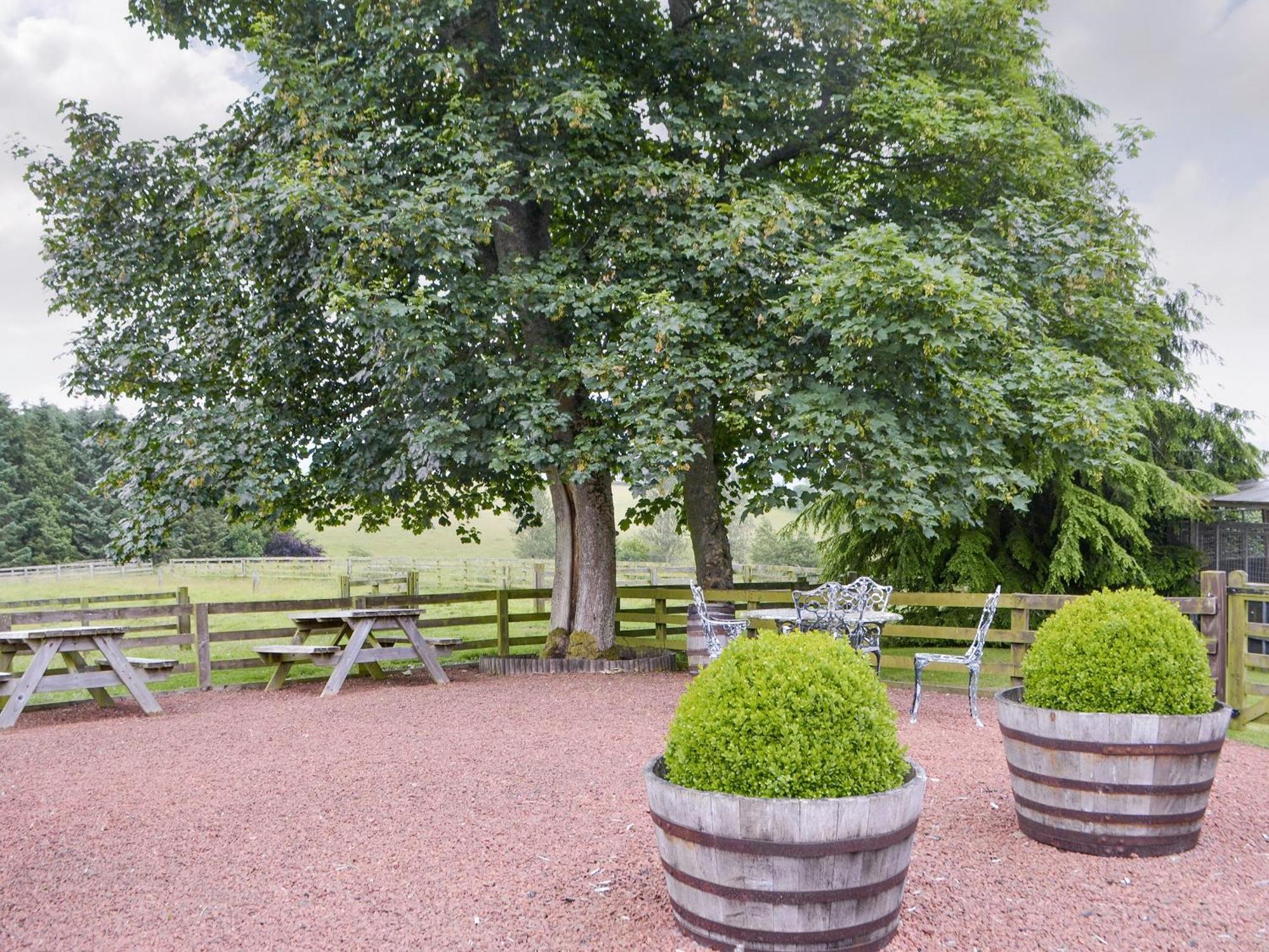 Piglet Cottage Elsdon Экстерьер фото